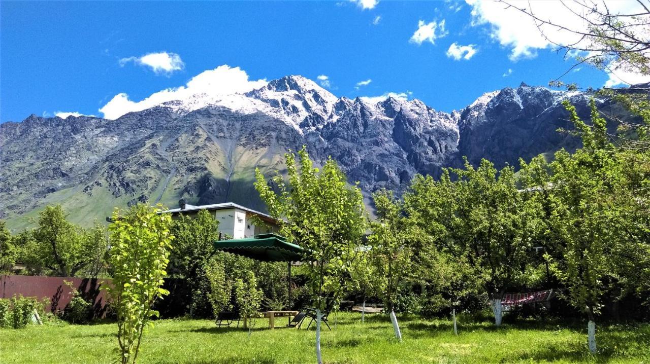 Kazbegi Green Yard Exteriör bild